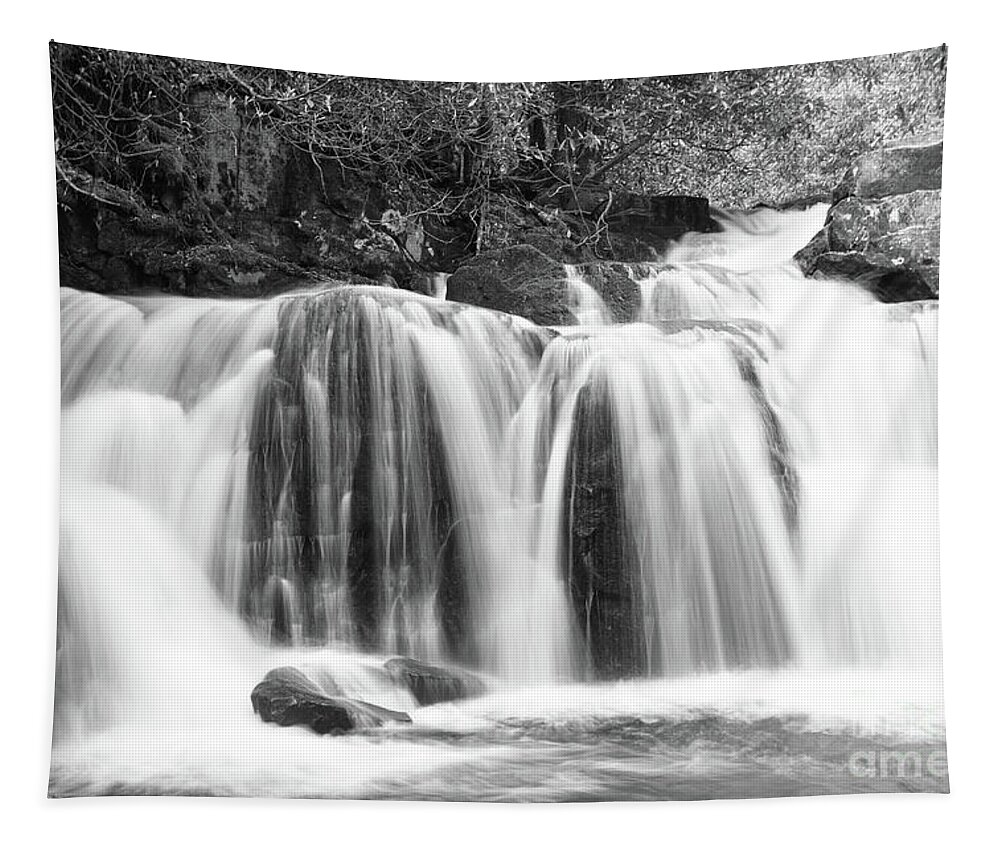 Smoky Mountains Tapestry featuring the photograph Black And White Waterfall by Phil Perkins