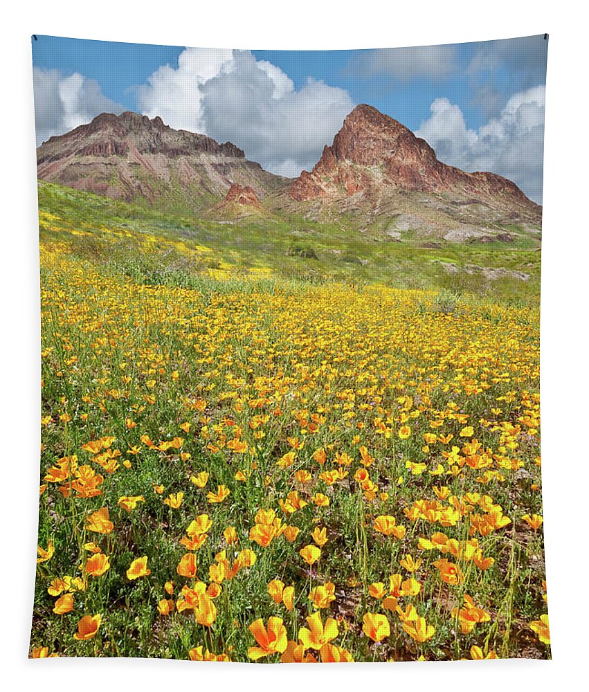 Arid Climate Tapestry featuring the photograph Boundary Cone Butte by Jeff Goulden