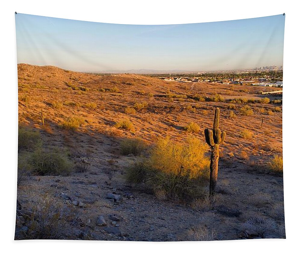 Cactus Tapestry featuring the photograph C A C T U S #1 by Anthony Giammarino