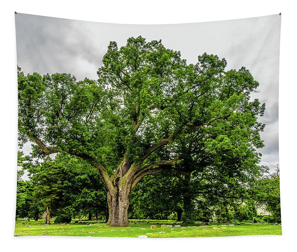 Centennial Oak Tapestry featuring the photograph Centennial Oak, Salem Oak Tree by Louis Dallara