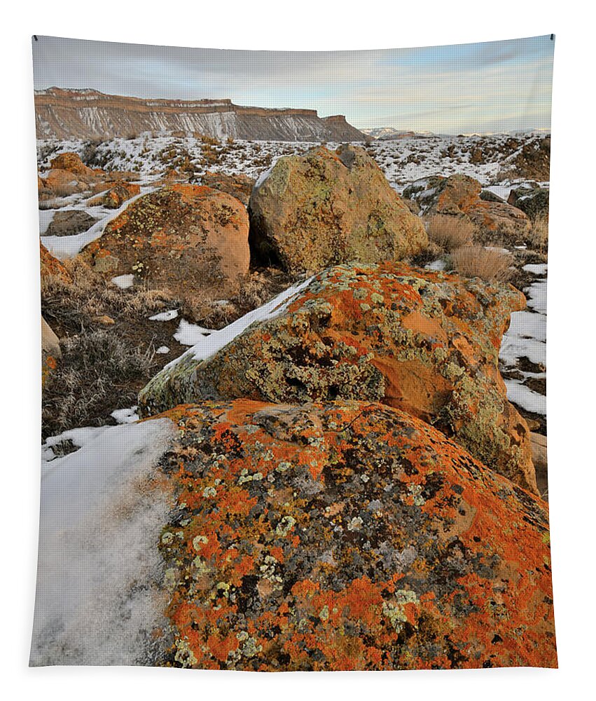 Book Cliffs Tapestry featuring the photograph Colorful Boulders of the Book Cliffs #1 by Ray Mathis