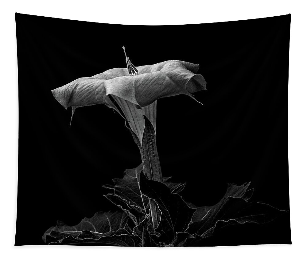 Datura Tapestry featuring the photograph Datura in black and white #2 by Alessandra RC