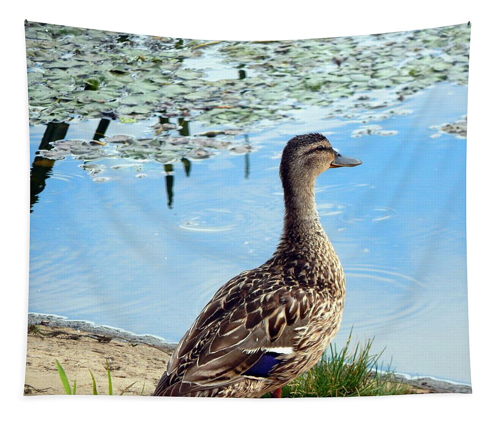 Duck Tapestry featuring the photograph Ducks swim in the summer along the river on the water #1 by Oleg Prokopenko
