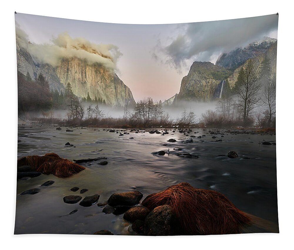 Forest Tapestry featuring the photograph Dusk in Yosemite #1 by Jon Glaser