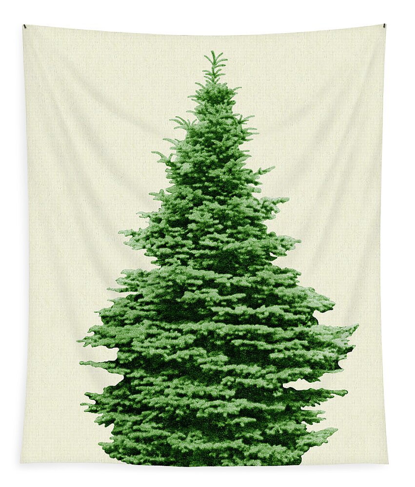 Campy Tapestry featuring the drawing Evergreen Tree #1 by CSA Images