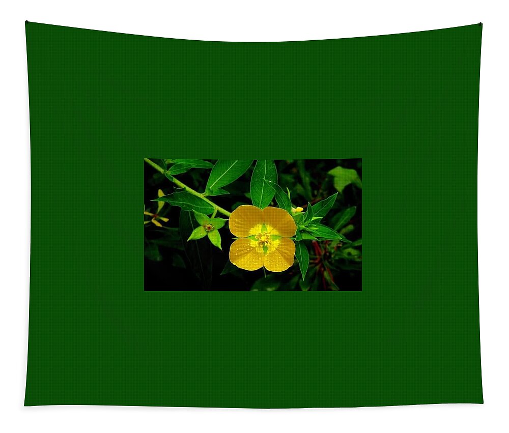 Florida Tapestry featuring the photograph Florida Flowers #1 by Lindsey Floyd