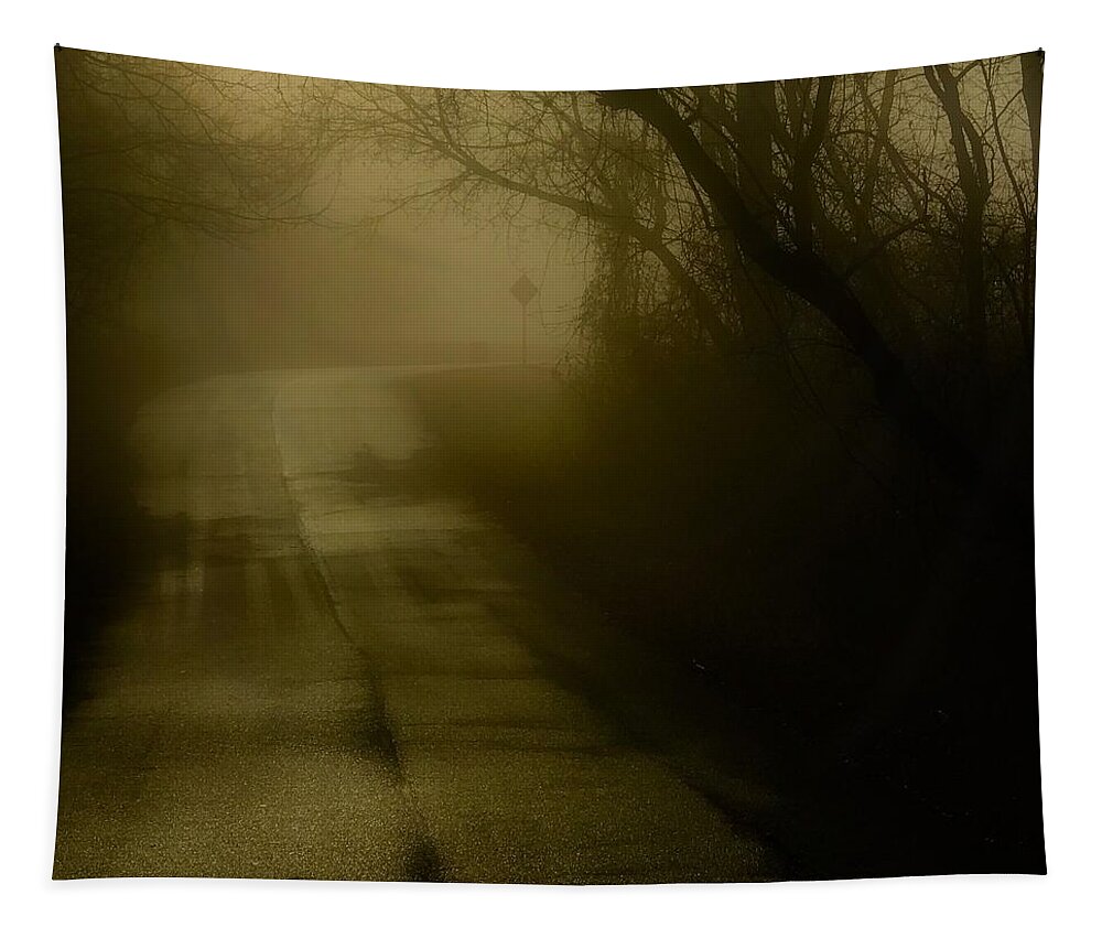 Tapestry featuring the photograph Golden Fog #1 by Jack Wilson