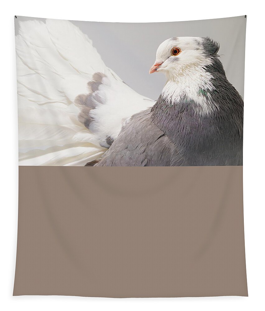 Pigeon Tapestry featuring the photograph Indian Fantail Pigeon #2 by Nathan Abbott