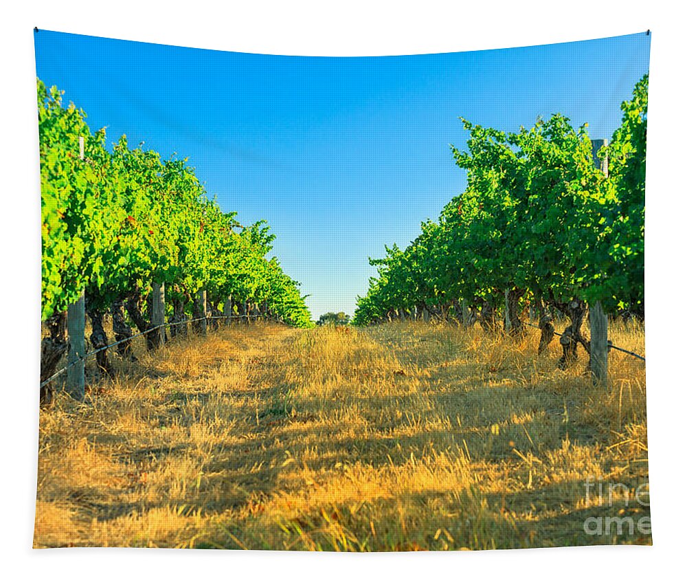 Vineyard Tapestry featuring the photograph Margaret River Vineyard #1 by Benny Marty