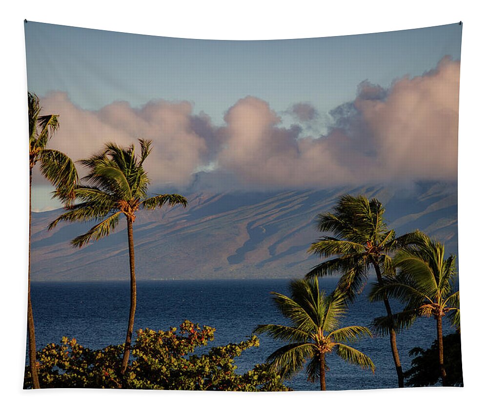 Hawaii Tapestry featuring the photograph Maui Palms #2 by Jeff Phillippi