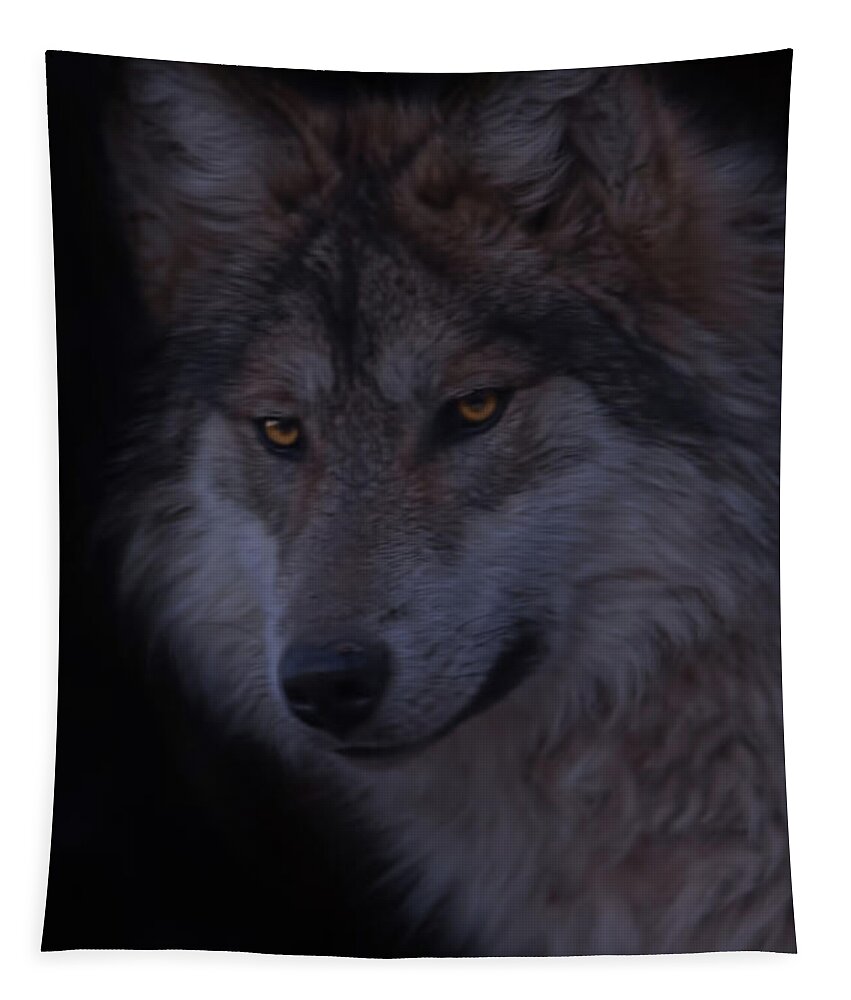 Animal Tapestry featuring the photograph Mexican Grey Wolf #1 by Brian Cross