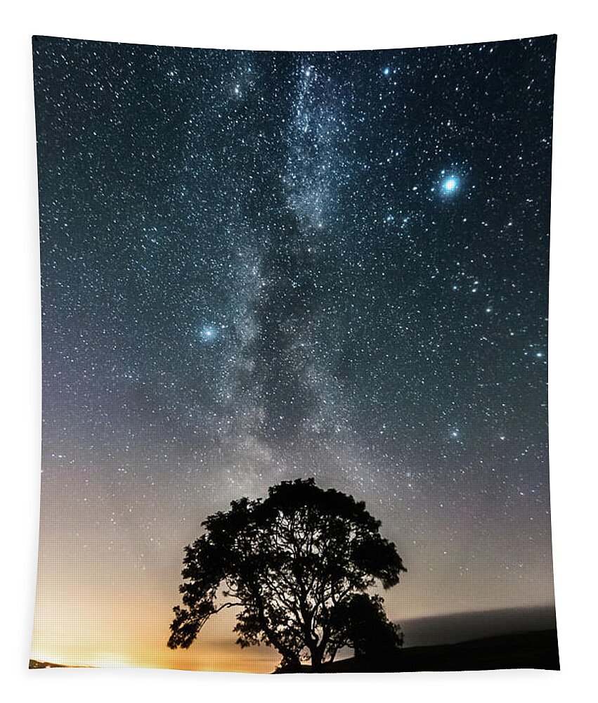 Malham Tapestry featuring the photograph Milky Way and the Lonely Tree on the Limestone Pavement #1 by Mariusz Talarek