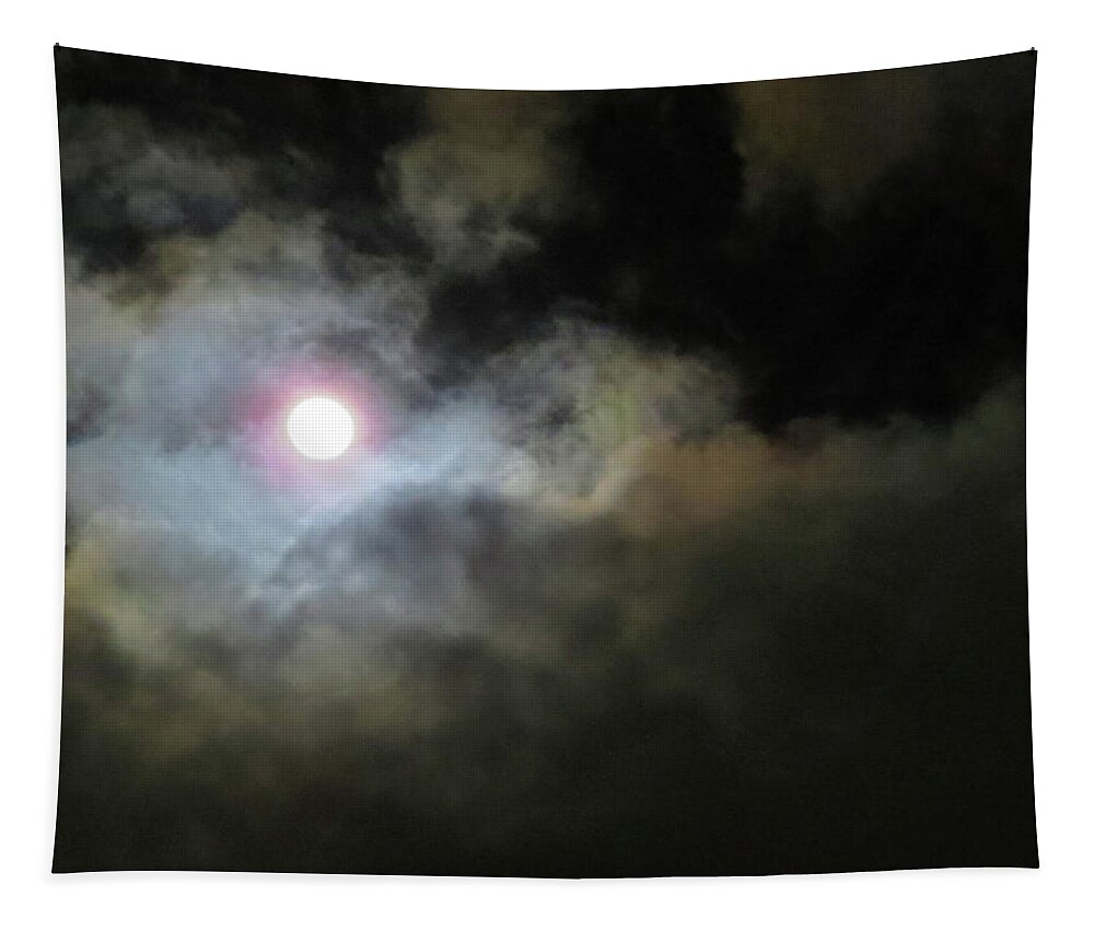 Moon Tapestry featuring the photograph Moody Moon by Linda Stern