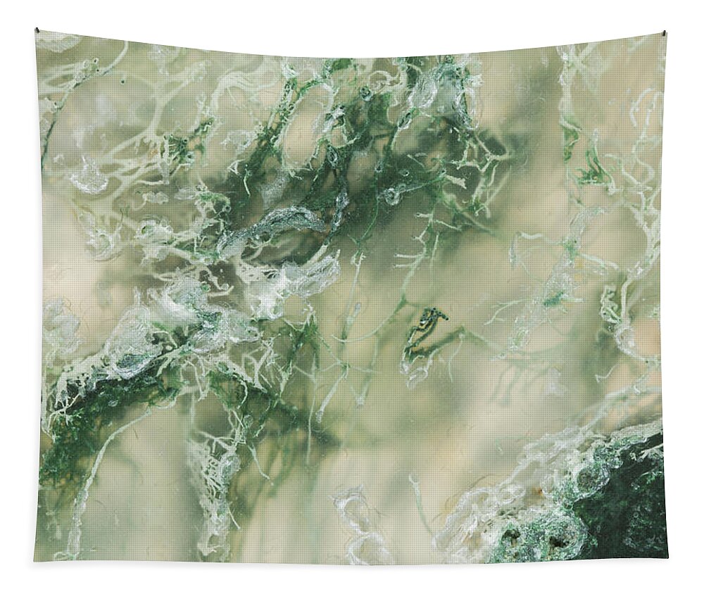 Abstract Tapestry featuring the photograph Moss Agate Moss, Closeup #1 by Mark Windom