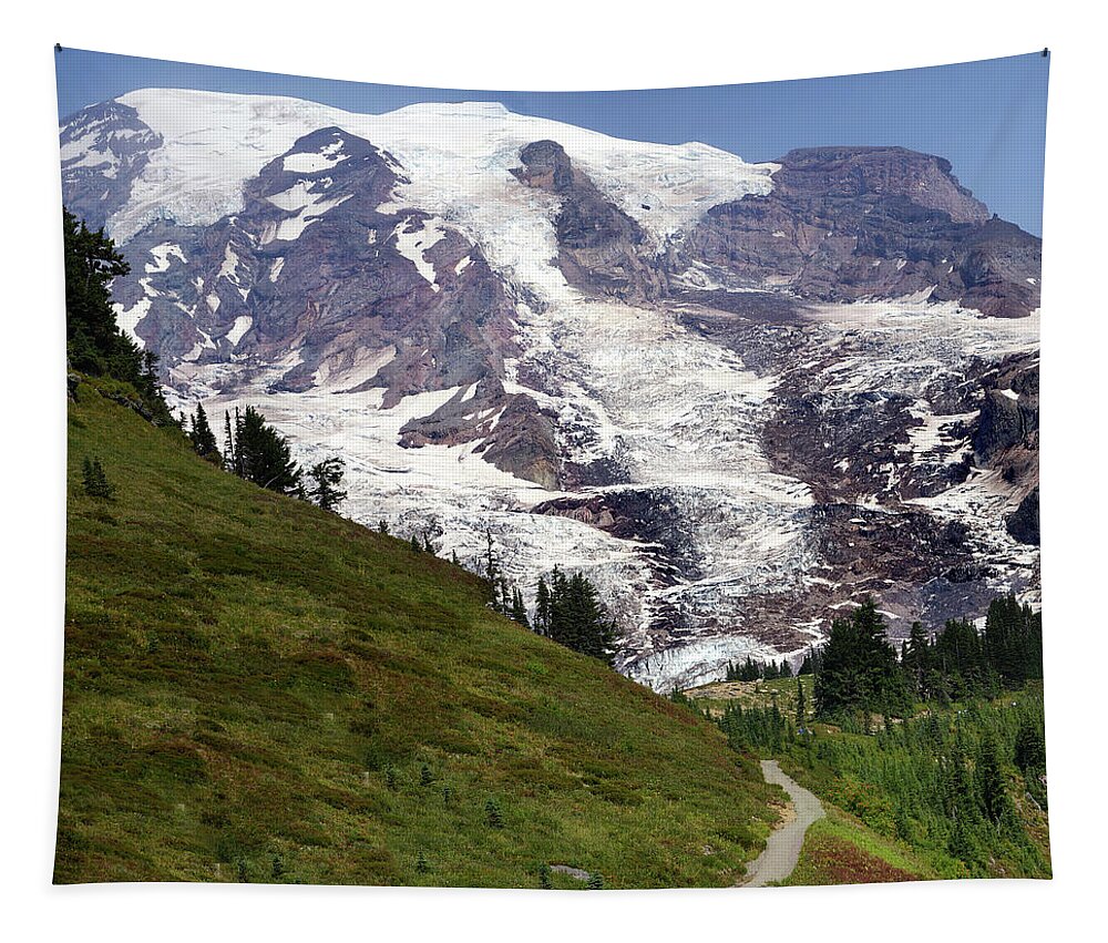 Fir Tapestry featuring the photograph Mt. Rainier, with conifer forest #1 by Steve Estvanik