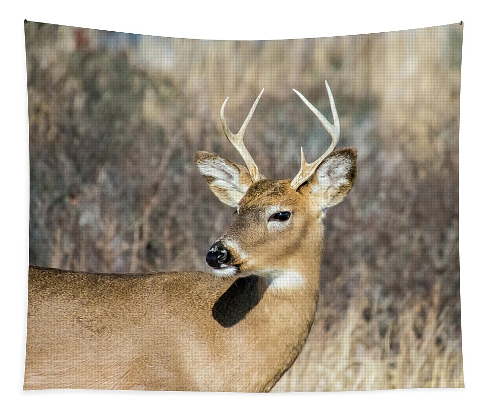 Wildlife Tapestry featuring the photograph My Good Side #1 by Cathy Kovarik