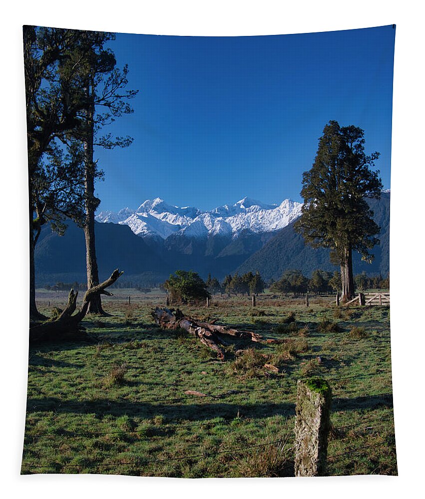 New Zealand Tapestry featuring the photograph New Zealand Alps by Steven Ralser