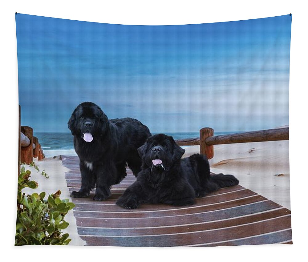 Newfies Tapestry featuring the painting Newfies, Magnificent Water Dogs #1 by Philip And Robbie Bracco
