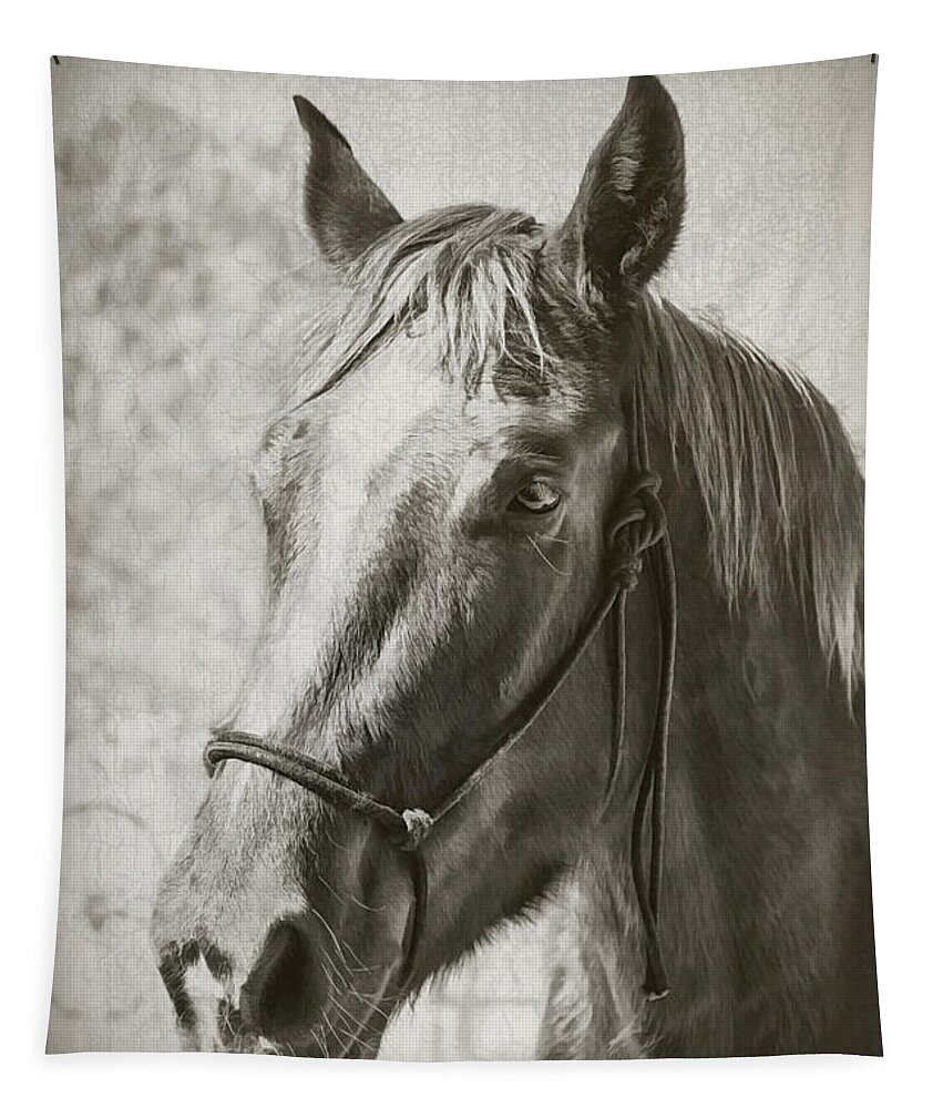 Horses Tapestry featuring the photograph Old West Transportation by Elaine Malott