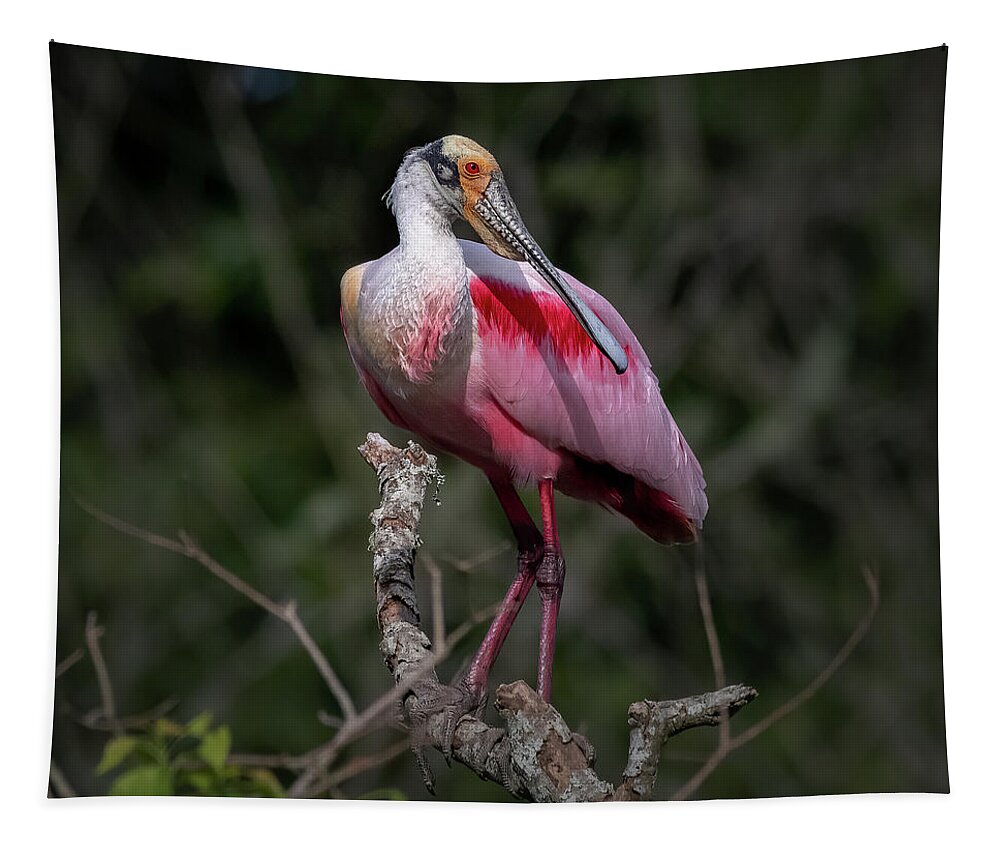 Rookery Tapestry featuring the photograph Roseate Spoonbill #1 by JASawyer Imaging