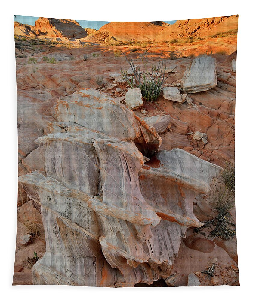 Valley Of Fire State Park Tapestry featuring the photograph Sandstone Artwork in Valley of Fire #1 by Ray Mathis