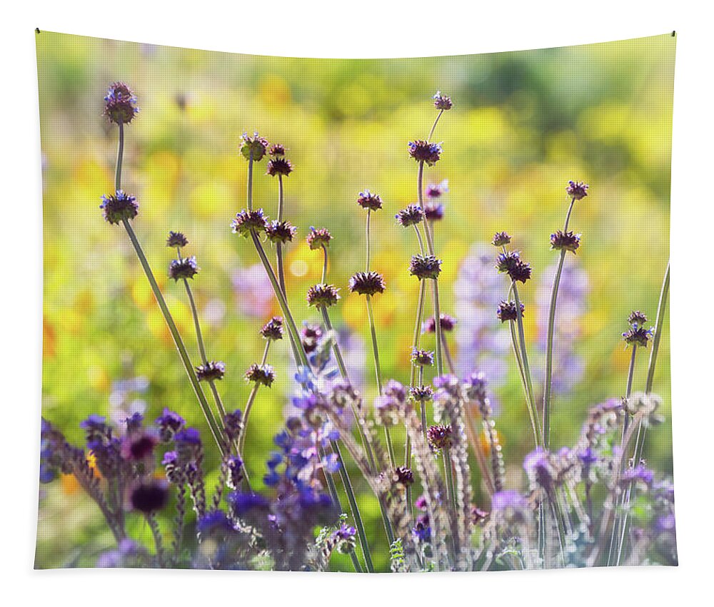 Wildflowers Tapestry featuring the photograph Signs Of Spring #1 by Saija Lehtonen