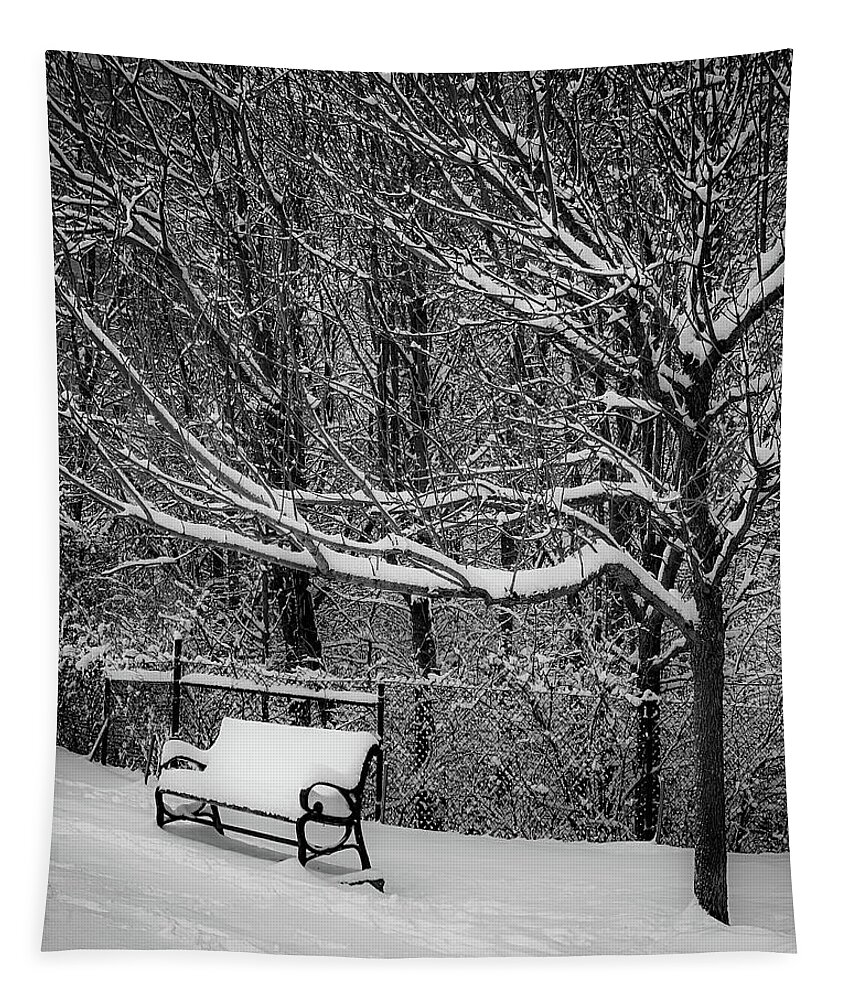 Snow Tapestry featuring the photograph Snow Day #1 by Lora J Wilson