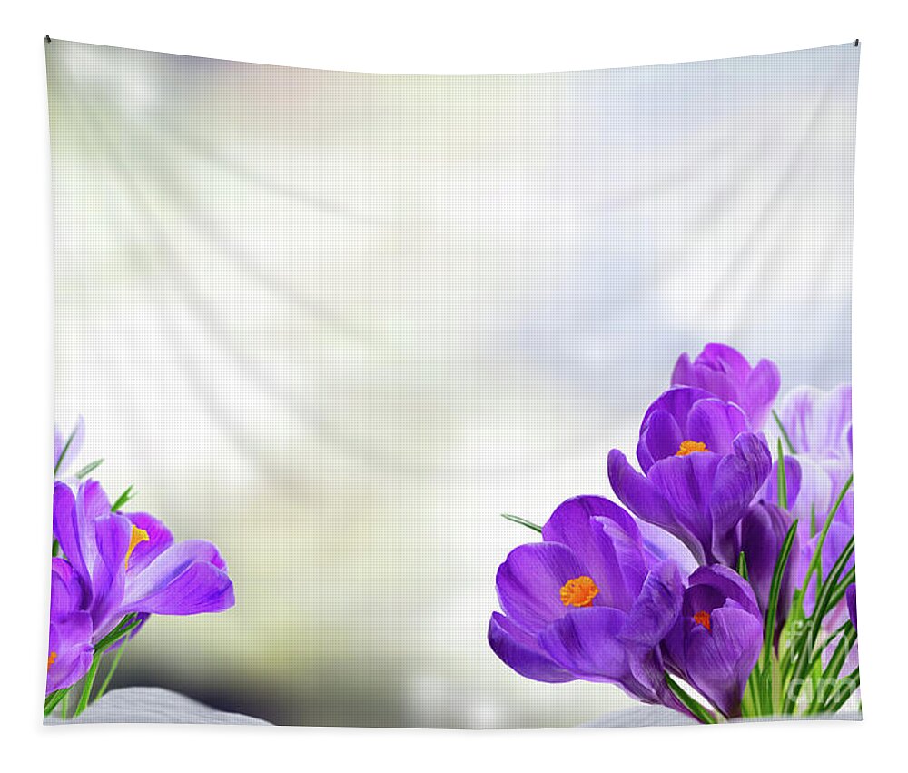 Beam Tapestry featuring the photograph Early Spring Crocuses by Anastasy Yarmolovich