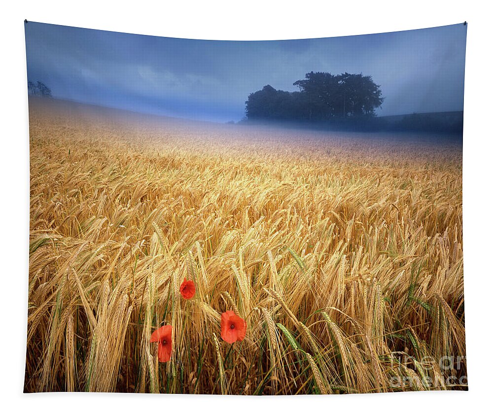 Nag861758 Tapestry featuring the photograph Summertime #1 by Edmund Nagele FRPS