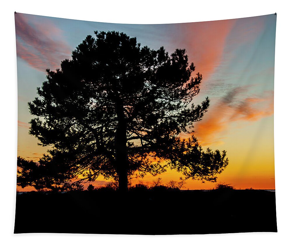 Tree Tapestry featuring the photograph Sunset Silhouette by Cathy Kovarik
