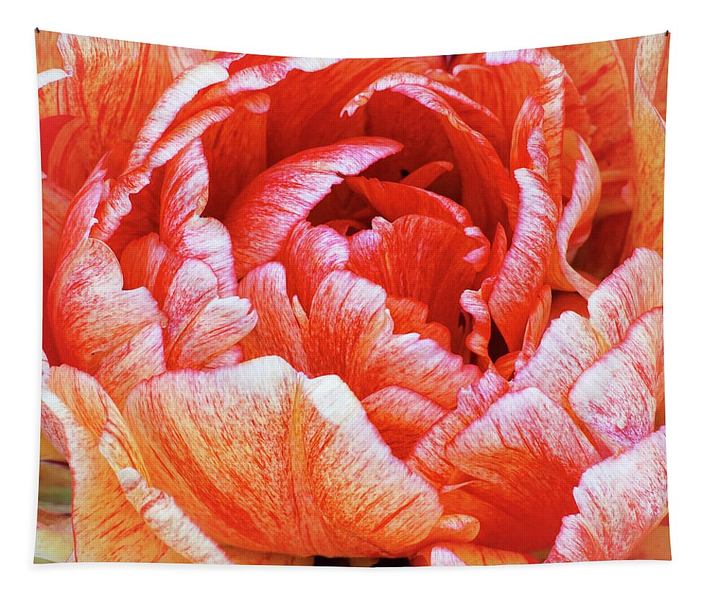 Parrot Tulip Tapestry featuring the photograph Taking In The Open Air by Kathi Mirto