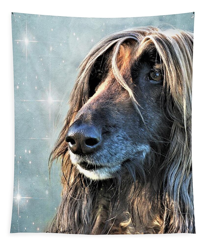 Afghan Hound Tapestry featuring the photograph The Diva #1 by Diane Chandler