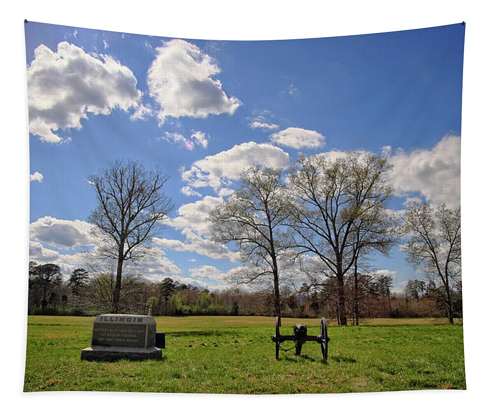 Spring Tapestry featuring the photograph The Illinois Monument #1 by George Taylor