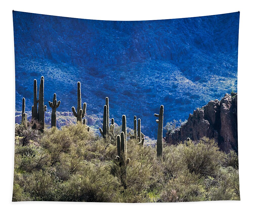Saguaro Cactus Tapestry featuring the photograph The Sonoran Sentinels #1 by Saija Lehtonen
