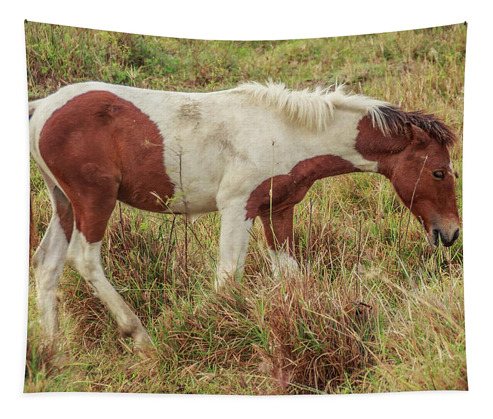 Child Tapestry featuring the photograph The Stallion #1 by Mangge Totok