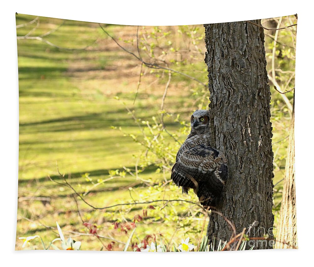 Great Horned Owl Tapestry featuring the photograph Tree Climber #1 by Heather King