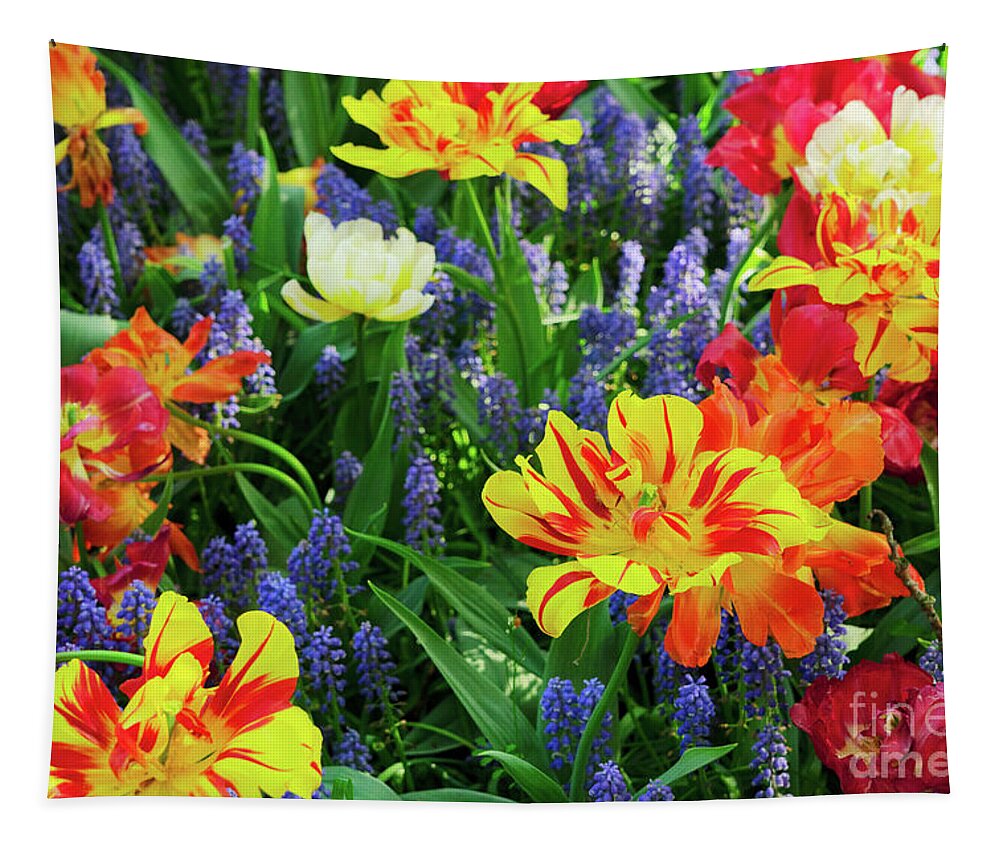 Tulips Tapestry featuring the photograph Tulips and Bluebell Flowerbed by Anastasy Yarmolovich
