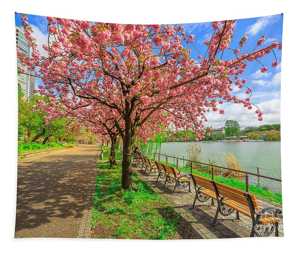 Ueno Park Tapestry featuring the photograph Ueno Park cherry blossom #1 by Benny Marty