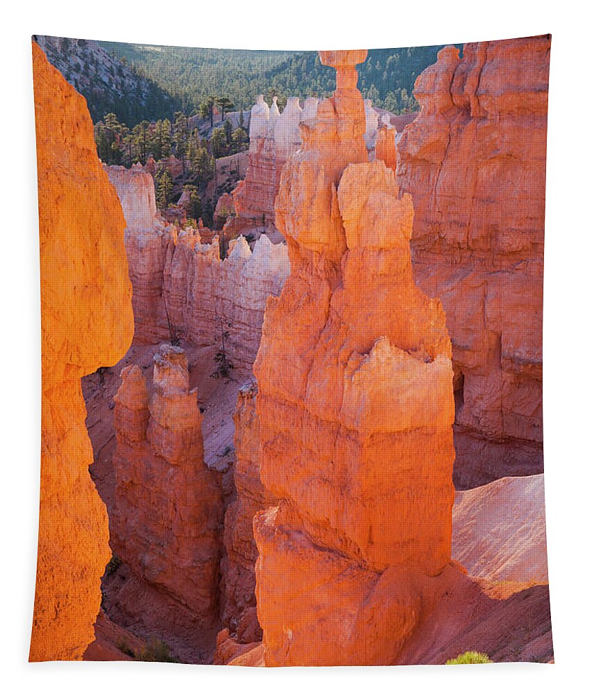 Estock Tapestry featuring the digital art Usa, Utah, Bryce Canyon, Natl. Park #1 by Tim Draper