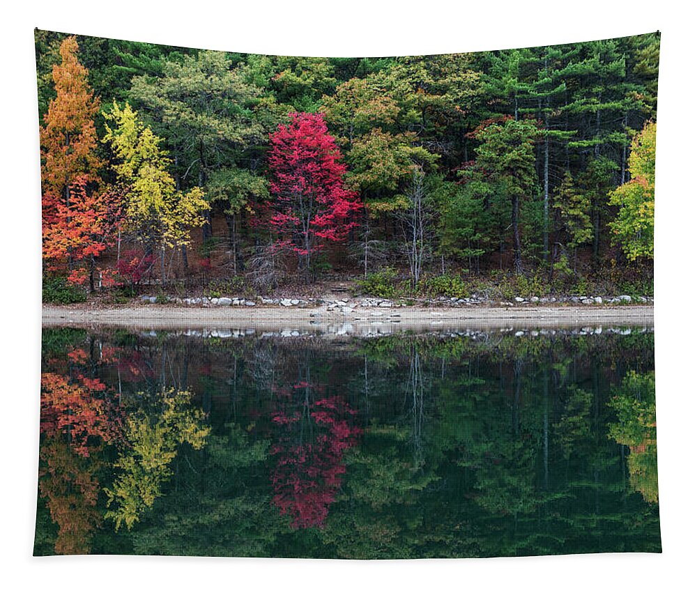Walden Tapestry featuring the photograph Walden Pond Fall Foliage Concord MA Reflection Trees #1 by Toby McGuire