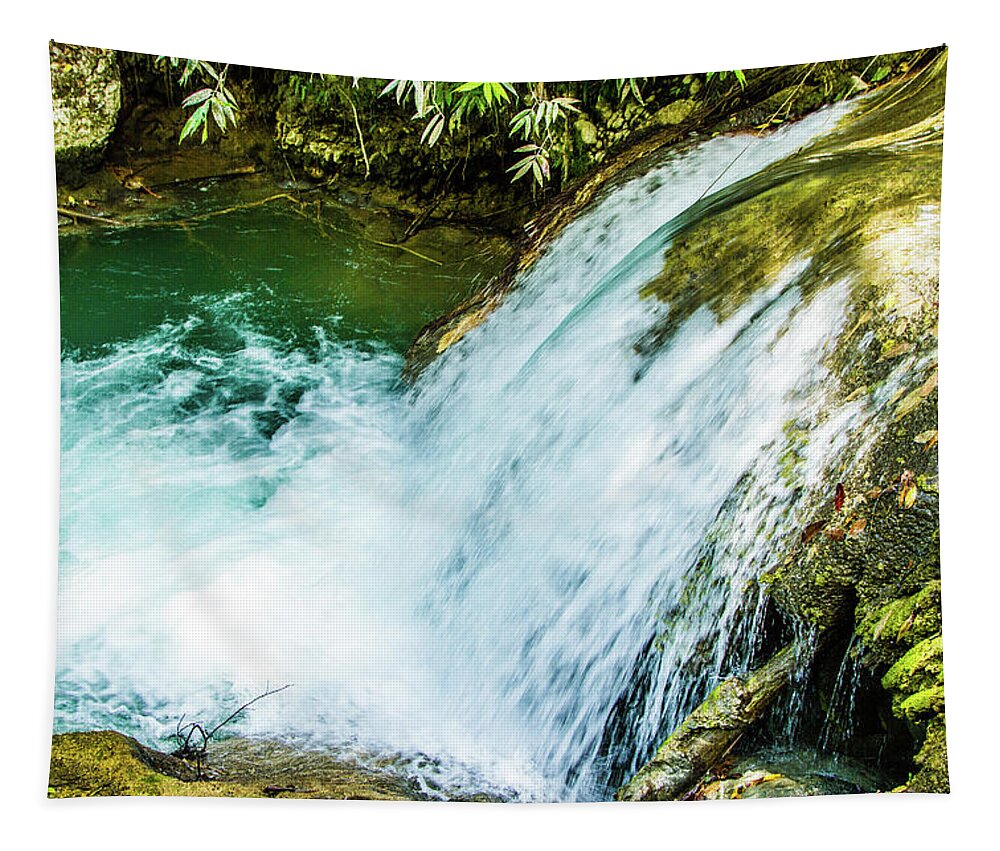 Blue-green Water Tapestry featuring the photograph Waterfalls in Jamaica IMG 6072 #1 by Jana Rosenkranz