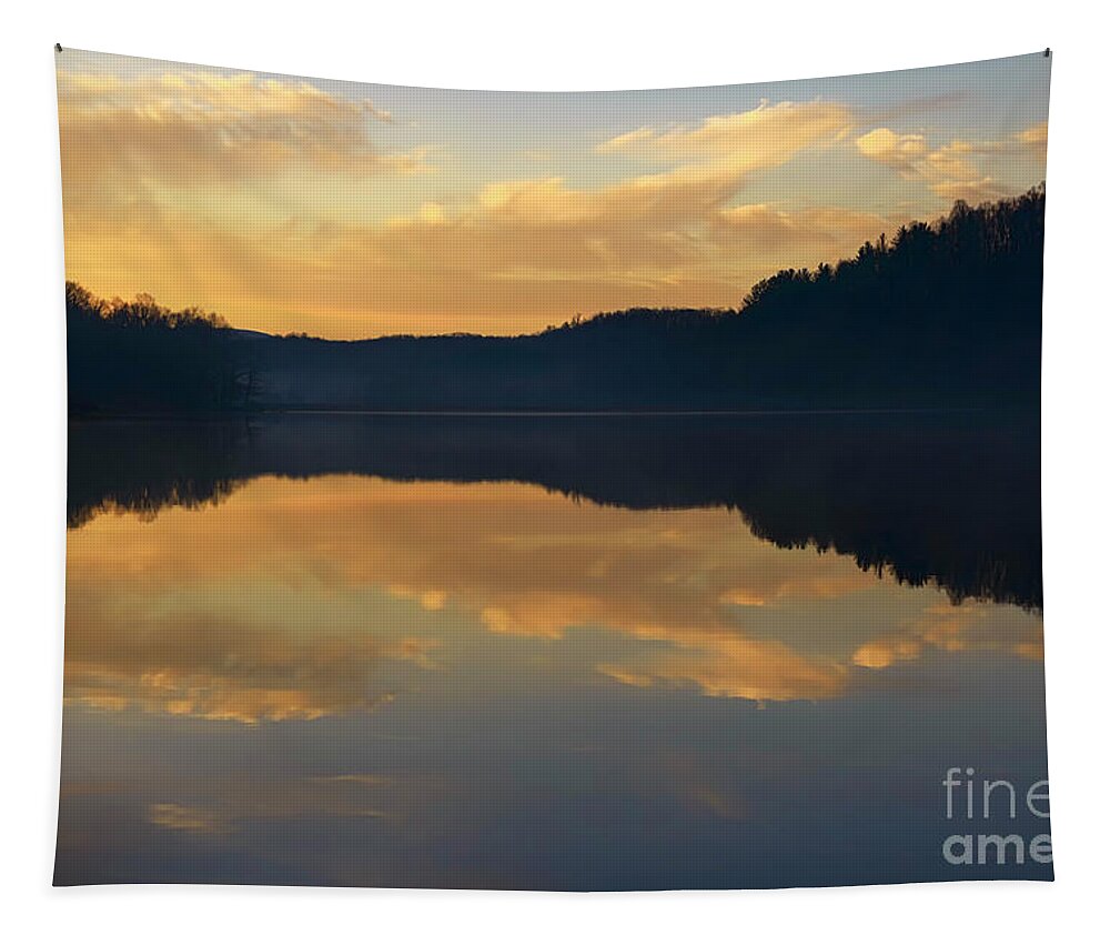 Lake Tapestry featuring the photograph Winter Dawn at the Lake #1 by Thomas R Fletcher
