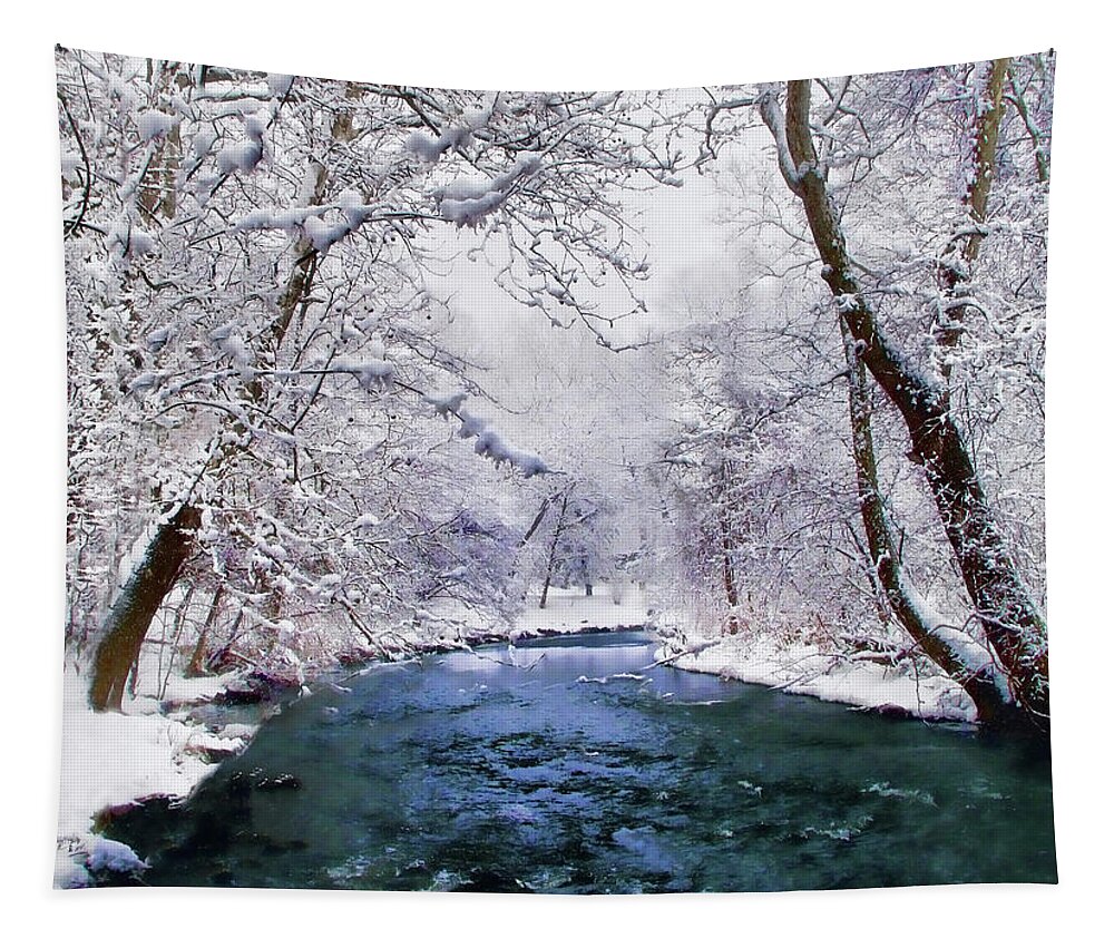 Christmas Tapestry featuring the photograph Winter White by Jessica Jenney