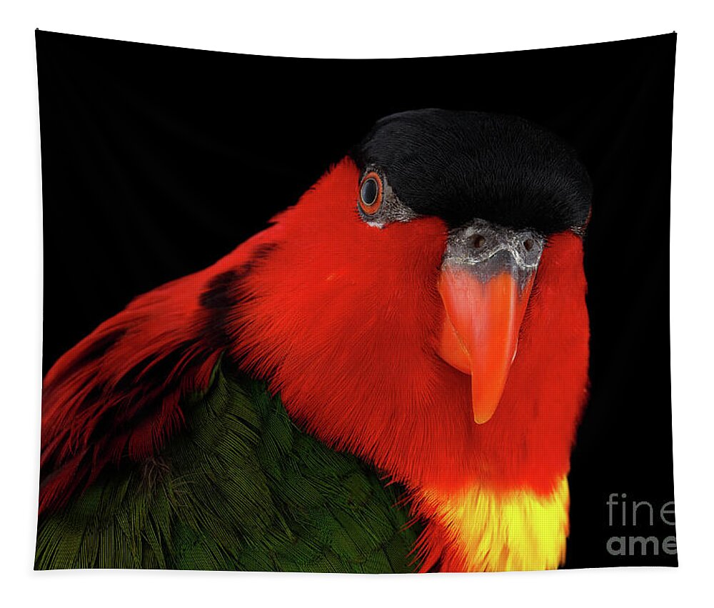 Ara Tapestry featuring the photograph Yellow-bibbed Lory #1 by Sergey Taran