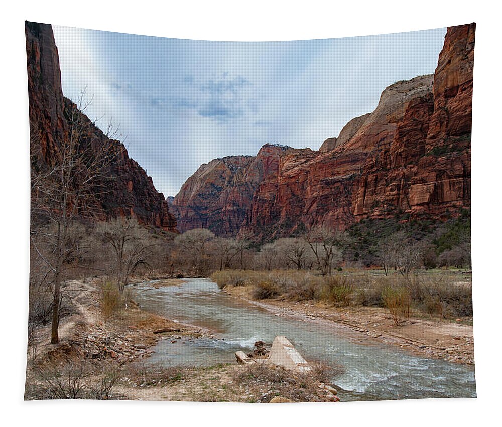 Zion Tapestry featuring the photograph Zion Canyon #2 by Mark Duehmig
