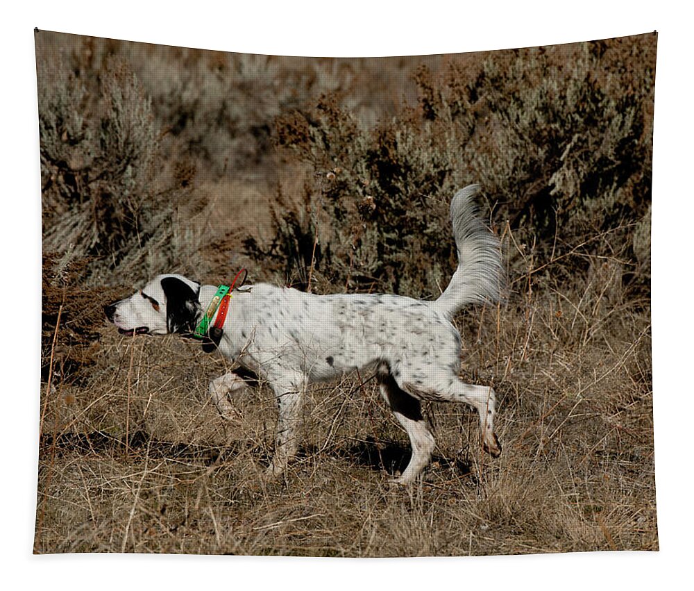 Animal Tapestry featuring the photograph English Setter On Point #10 by William Mullins