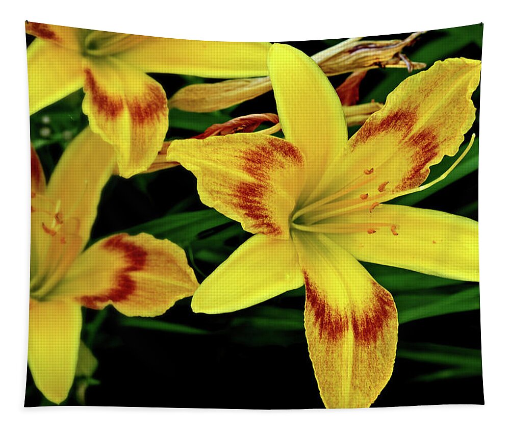 Flowers Tapestry featuring the photograph Blooms #2 by George Taylor