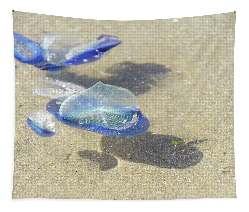 Coast Tapestry featuring the photograph Blue jellyfish #2 by Steve Estvanik