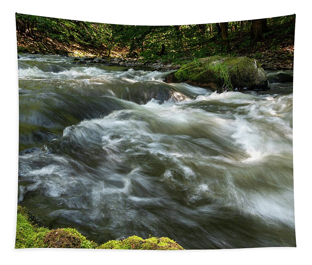 Nature Tapestry featuring the photograph Bode, Harz #3 by Andreas Levi