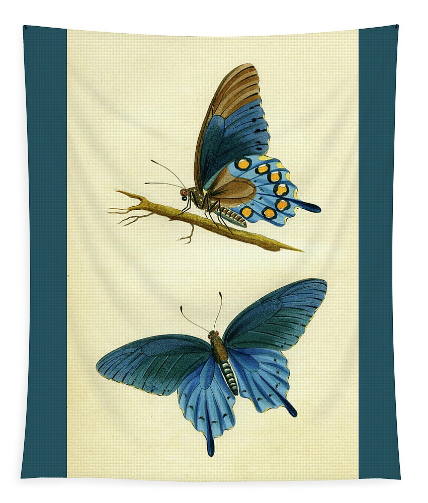 Entomology Tapestry featuring the mixed media butterflies - Papilio philenor by Unknown